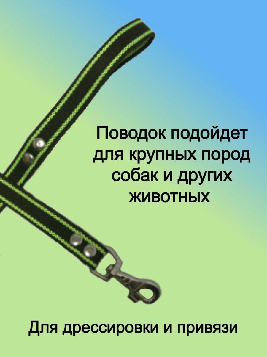 Поводок для собак брезентовый 3 м шириной 25 мм ,2 полосы