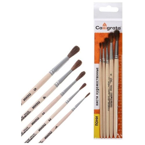 Набор кистей Пони 5 штук 3 круглые 1 2 3 4 5 деревянная ручка 430₽