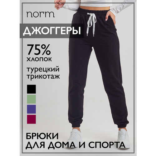 Брюки спортивные джоггеры Norm джоггеры, размер 42-44, черный брюки джоггеры размер 33 46 48 зеленый