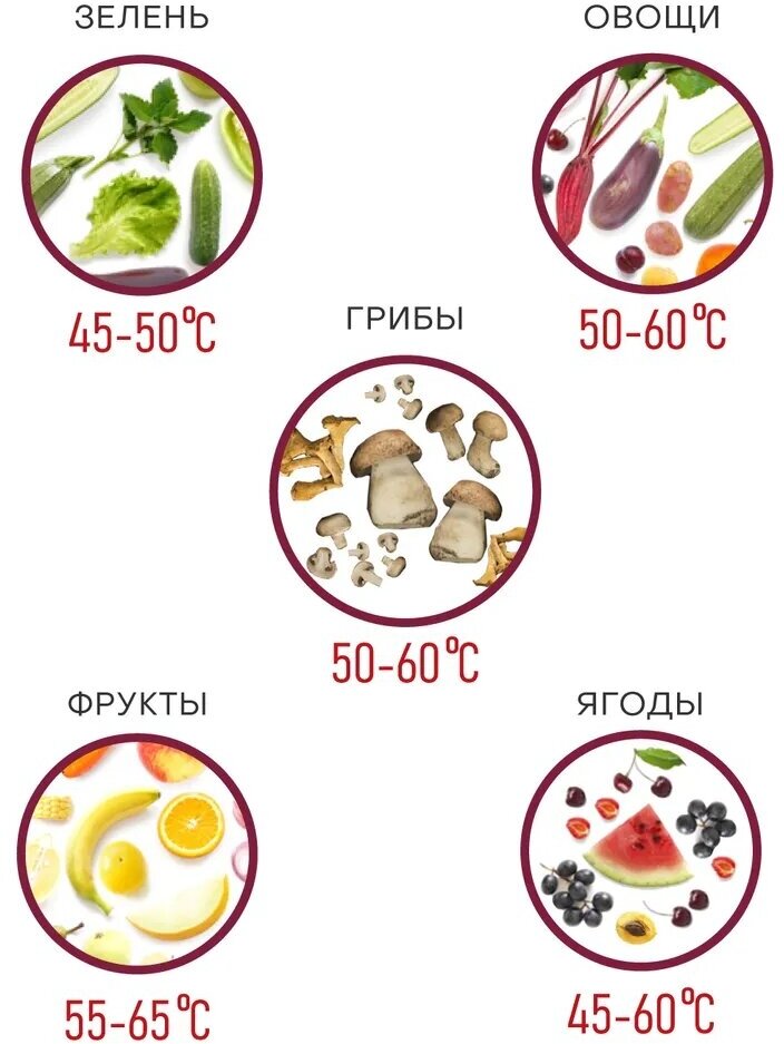 Сушилка для овощей и фруктов Supra - фото №19