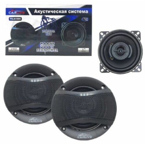 Акустическая система автомобильная Carlive TS-A1095 4 10см 181300₽