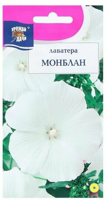 Семена цветов Лаватера "монблан", 0,2 г ( 1 упаковка )