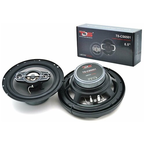 Автоакустика TDS TS-CS6501 65 240000₽