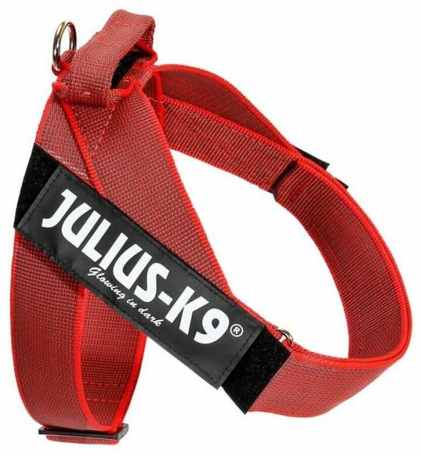 JULIUS-K9 шлейка для собак Color&Gray IDC Mini-mini, красный - фотография № 11
