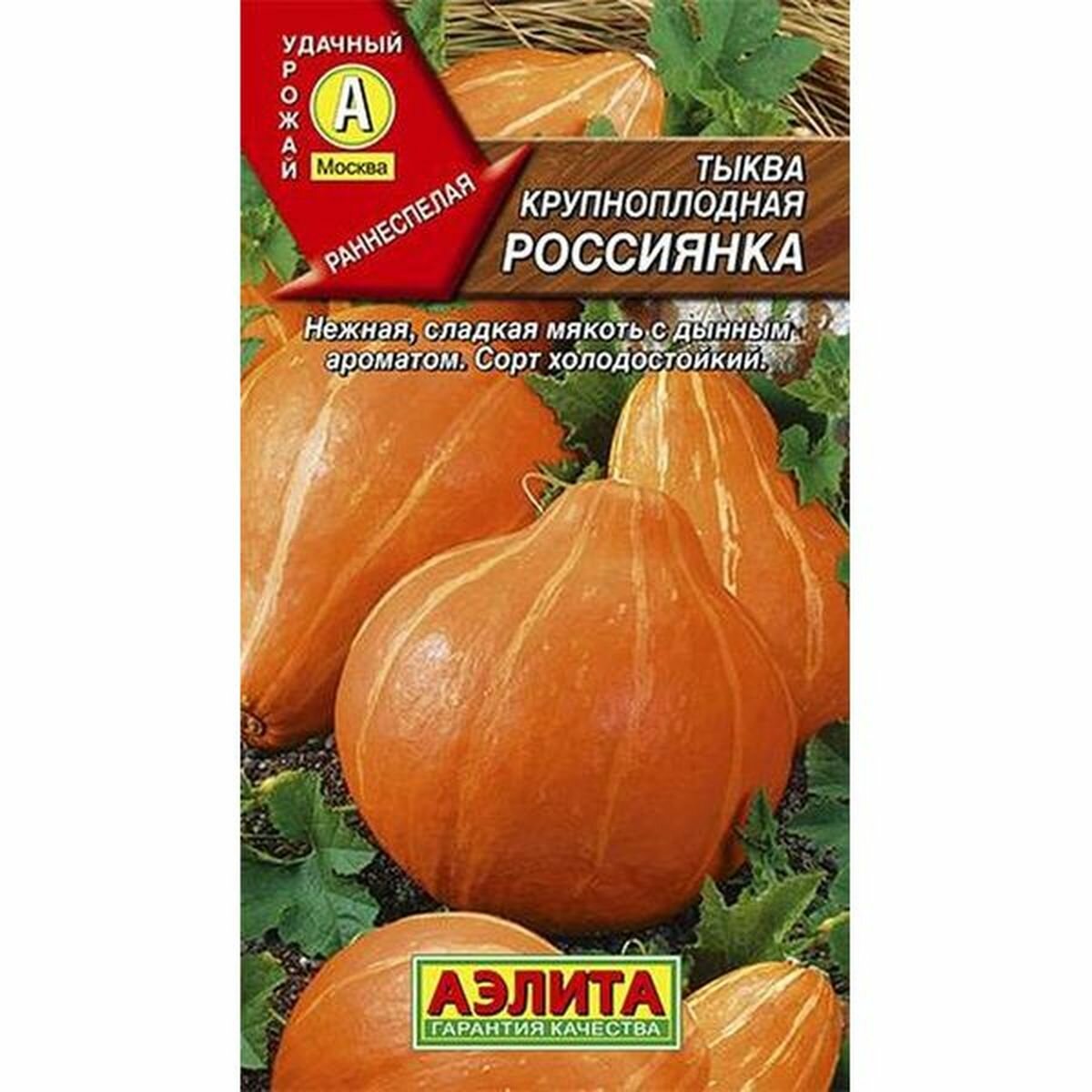 Семена Тыква Россиянка раннеспелый Аэлита 1 пачка - 1г семян