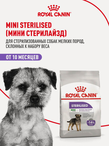 Изображение товара Сухой корм для собак мелких пород Royal Canin Mini Sterilised для стерилизованных, 3 кг