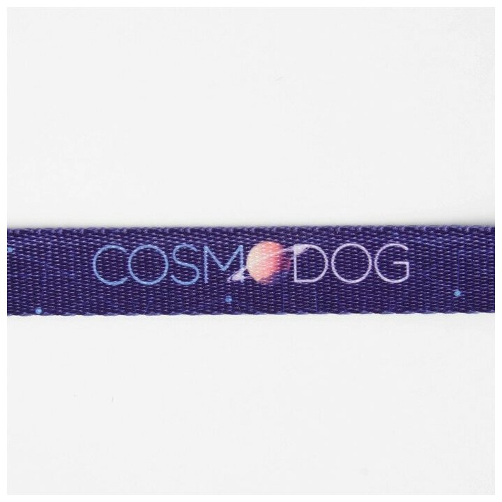 Поводок Cosmo Dog, нейлон, застёжка - фастекс, 2 см, 2 м Пушистое счастье 7649716 . - фотография № 6