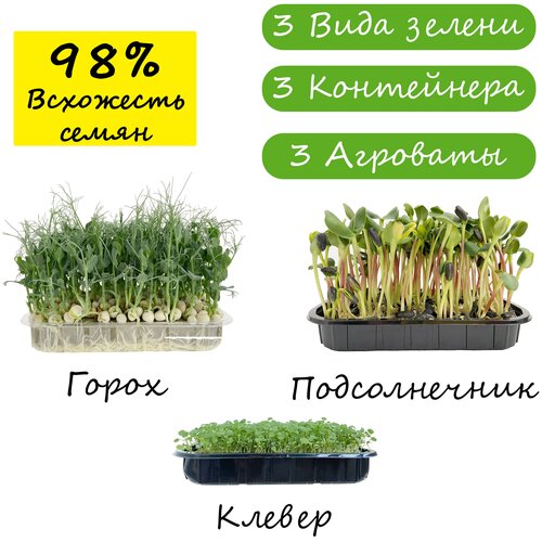 Набор для выращивания микрозелени ВСЕ включено Подсолнечник Горох Клевер