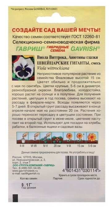 Семена цветов Виола "Швейцарские гиганты", виттрока, 0,1 г