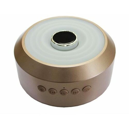 Колонка S01 розовое золото 173200₽