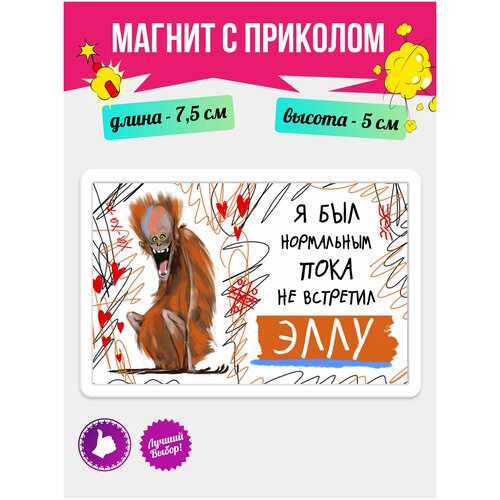 Магнит подарочный с принтом Я был нормальным..Элла. Магнитик на доску с рисунком из акрила на подарок