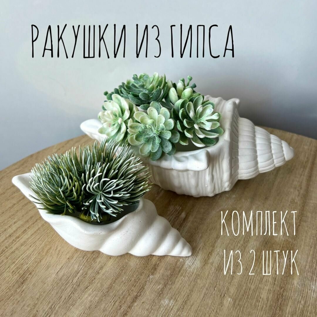 Горшочки кашпо "Ракушки" для суккулентов и кактусов, из гипса, белые, комплект 2 шт