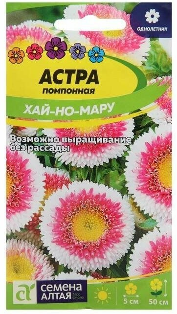 Семена цветов Астра Хай-но-мару помпонная 015 г 5 упаковок