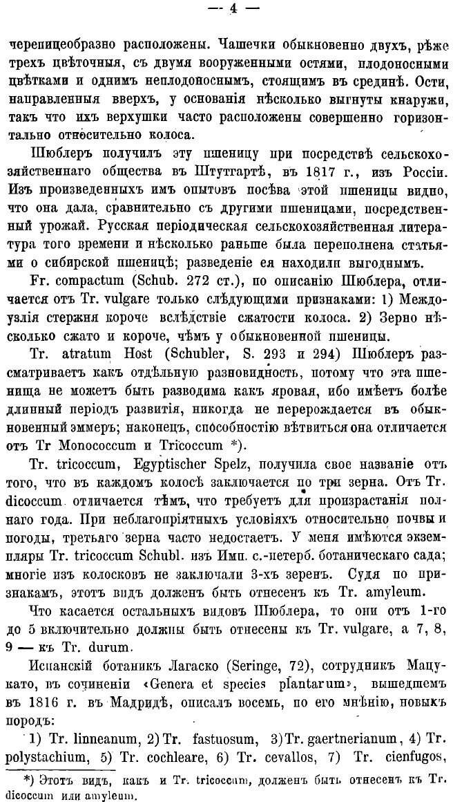 Книга Русские пшеницы (Черняев Евгений Васильевич) - фото №6