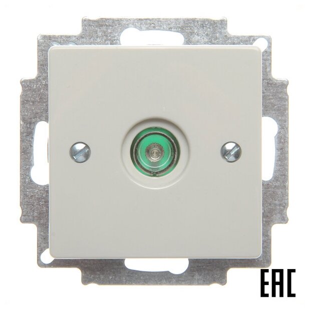 фото Розетка ABB 2CKA001724A4317 basic55