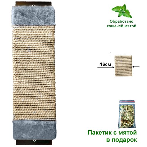 Когтеточка 