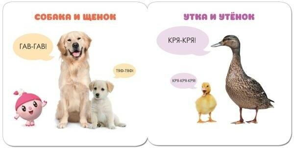 Малышарики. Кто как маму зовет? Раннее развитие 1+. Речь. Сенсорика. Эмоции. Мышление - фото №11