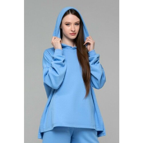 фото Худи магазин толстовок, размер m-42-44-woman-(женский), голубой