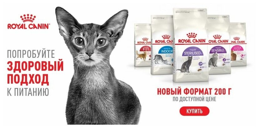 Корм для кошек Royal Canin Savour Exigent (Сэйвор Экзиджент) сухой сбалансированный для привередливых взрослых кошек от 1 года, 0,4+0,16 кг - фотография № 5