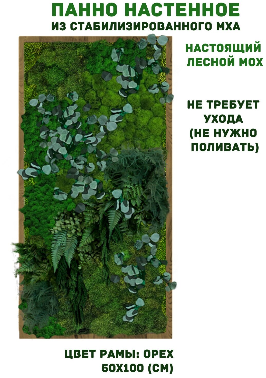 Панно из стабилизированно мха GardenGo в рамке цвета орех, 50х100 см, цвет мха зеленый