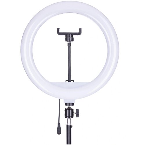 Кольцевая светодиодная лампа YQ-320A 32 см с пультом и держателем для смартфона без штатива 1983₽