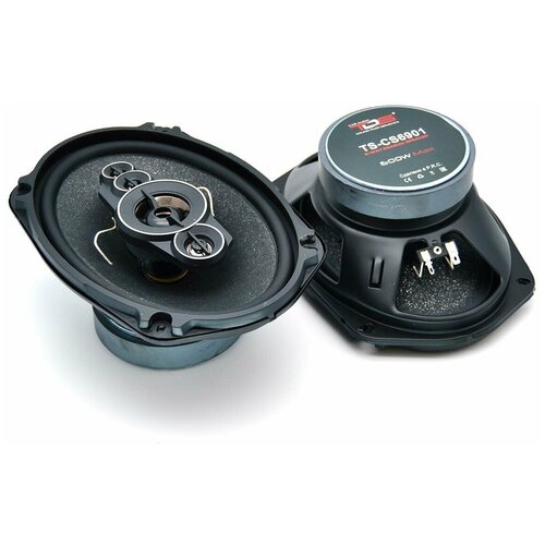Автоакустика TDS TS-CS6901 6x9 353000₽