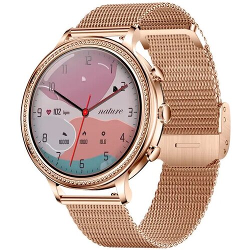 BandRate Smart Умные часы BandRate Smart BRSV60RGRG 910000₽