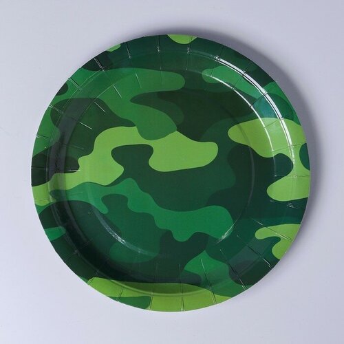 Тарелка бумажная Милитари 23 см набор 6 шт 373₽