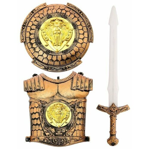 Набор рыцаря «Храбрый воин», 3 предмета набор рыцаря храбрый воин 7 предметов 2617214