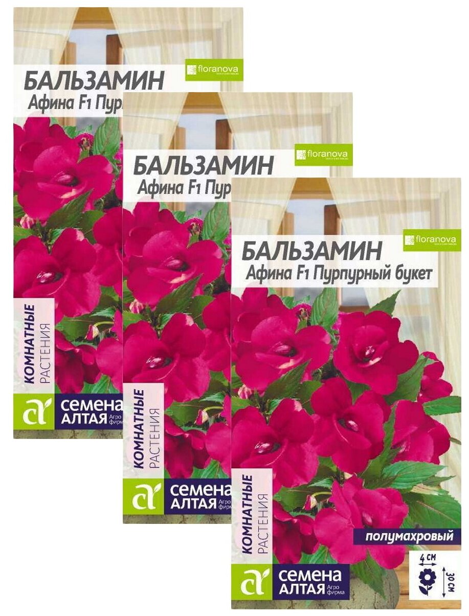 Семена Бальзамин Афина Пурпурный букет Многолетние 5 шт./упак. х 3 шт.
