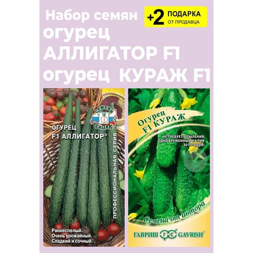 Набор семян: Огурец 