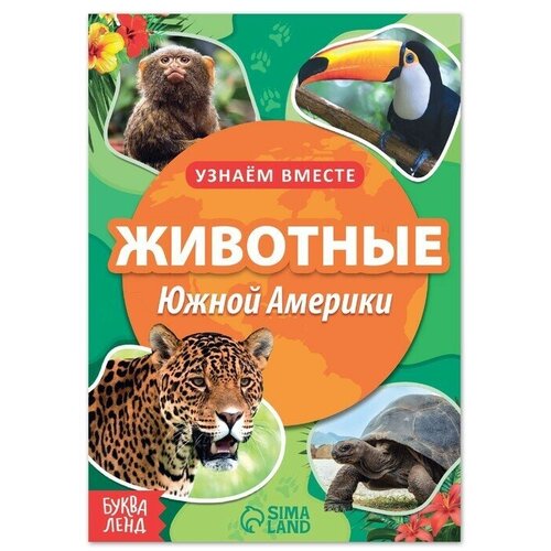 Обучающая книга 