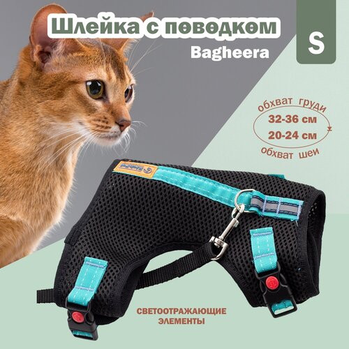 Шлейка c поводком RichPet Bagheera S (шея 20-24см, грудь 32-36см.Вес животного 3-5кг)