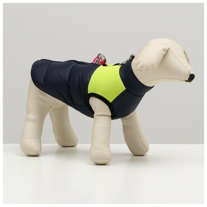 Куртка для собак на молнии, размер 16 (ДС 36 см, ОГ 46 см, ОШ 35 см),синяя с жёлтым - фотография № 11