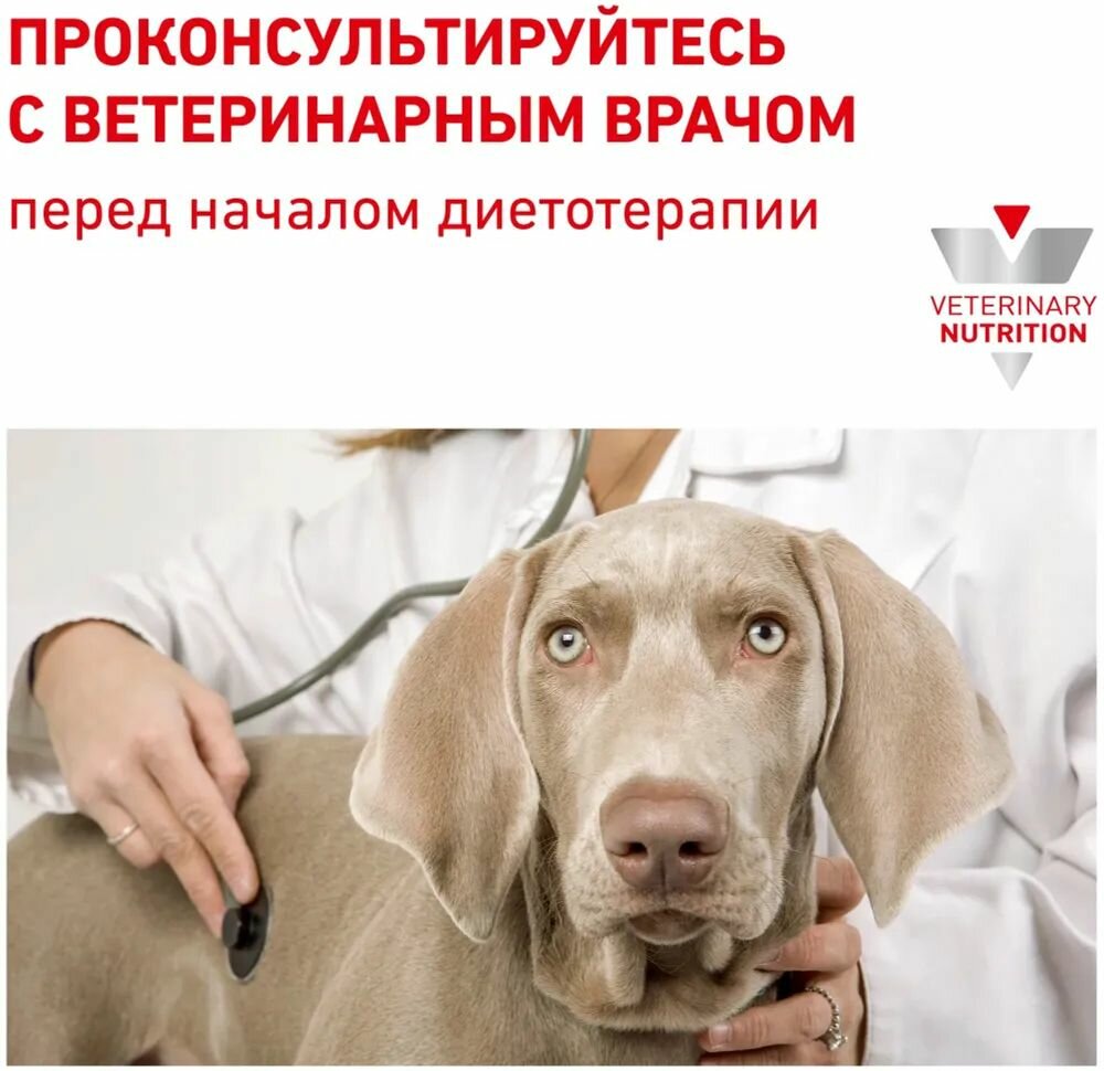 Royal Canin Gastrointestinal Low Fat (паштет) Влажный диетический корм для собак при нарушениях пищеварения (8шт по 420г) — фото 1