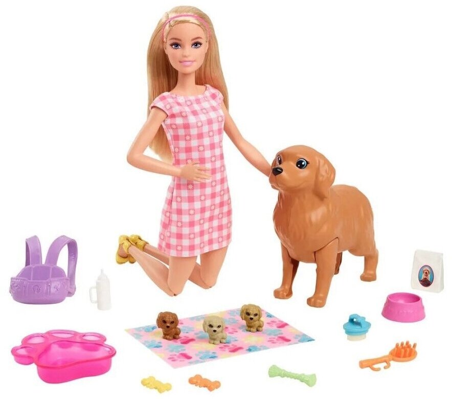 Игровой набор Barbie. Doll и Новорожденные щенки HCK75 (розовый)