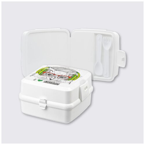 Контейнер для еды пластиковый ланч бокс