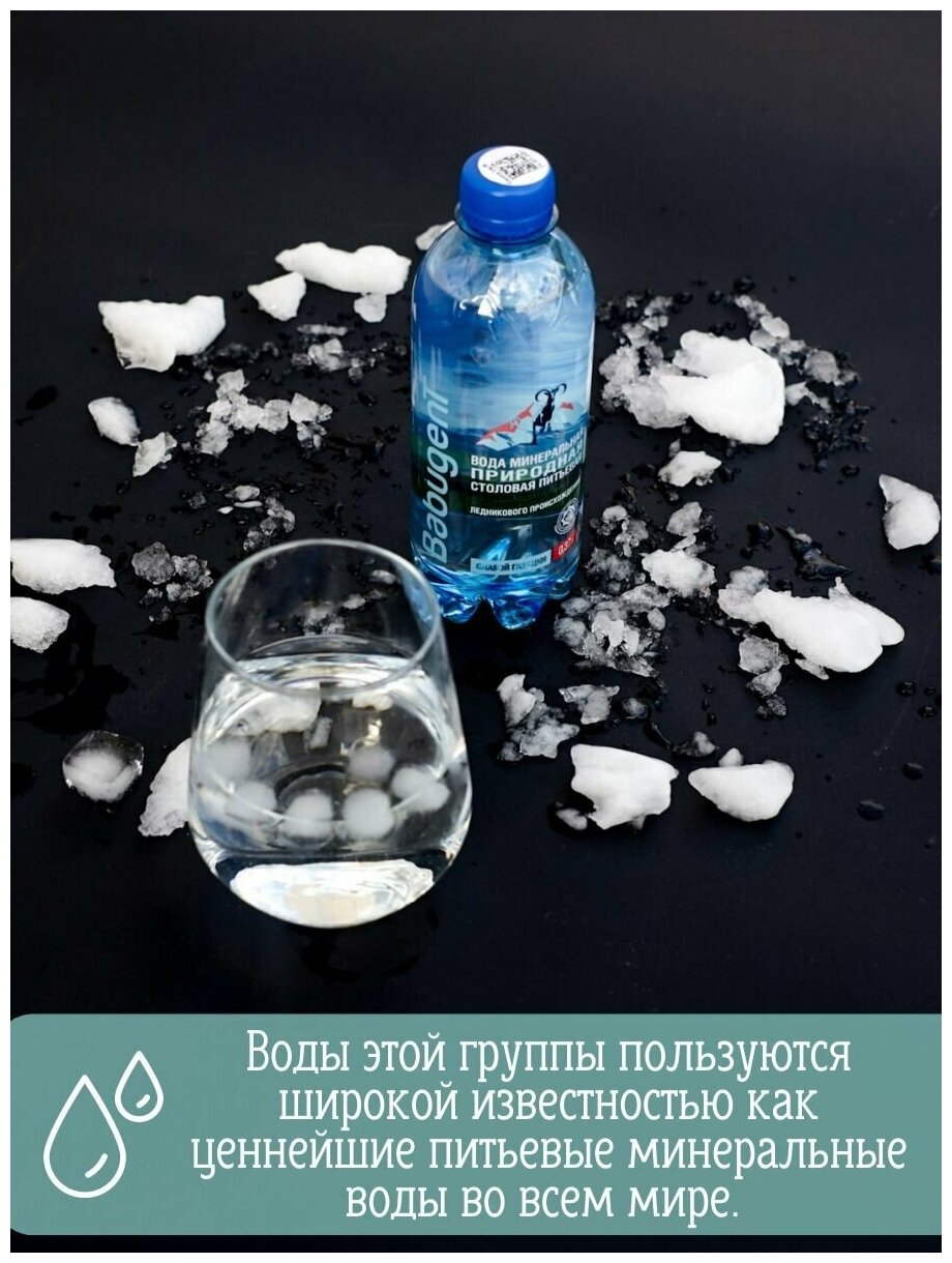 Вода природная минеральная питьевая BabugenT , газированная. Пластик, 12 шт. по 0,37 л - фотография № 3