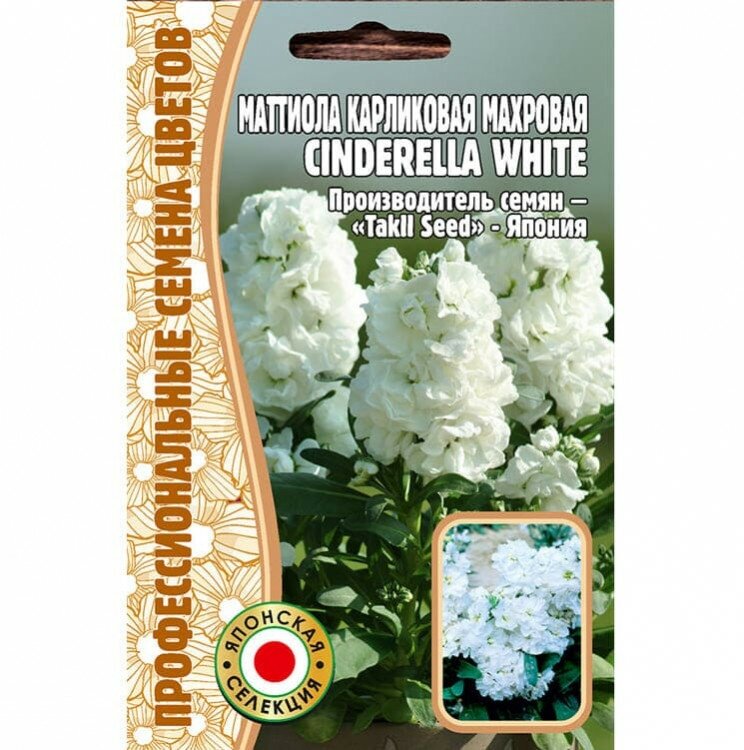 Семена Маттиолы карликовой махровой Cinderella White (5 семян)