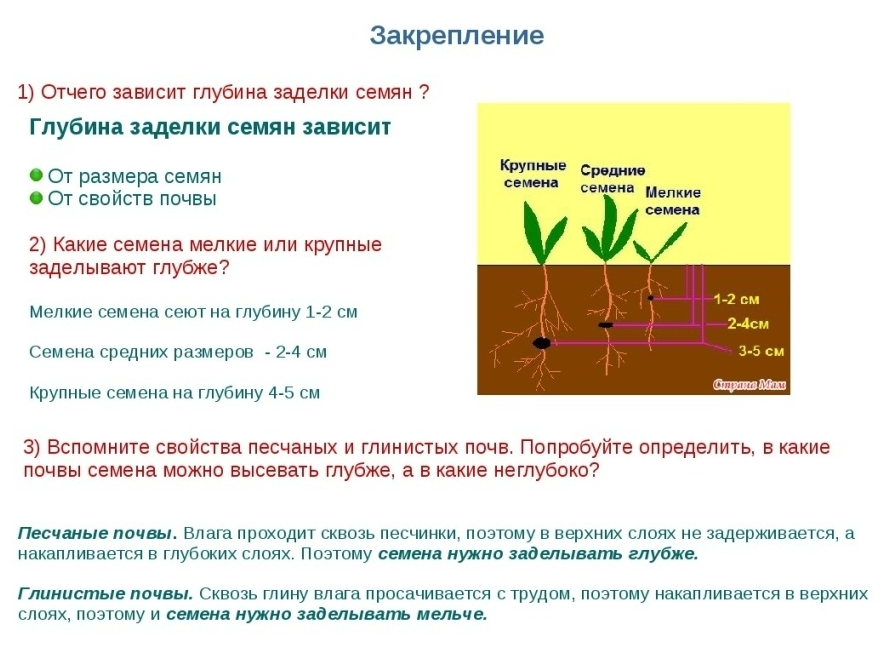 Грунт универсальный 10 л - фотография № 5