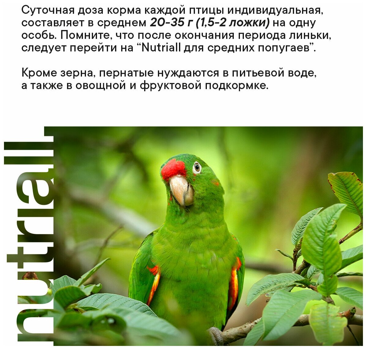 Полнорационный корм Nutriall для средних попугаев в период линьки, 2 упаковки — фото 1