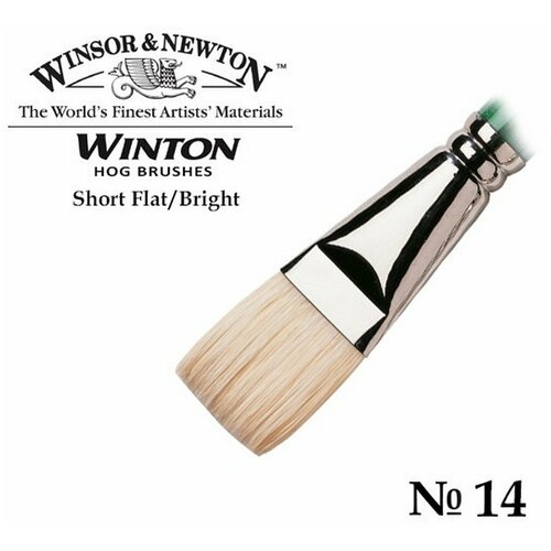 кисть для масляных красок winton свиная щетина веерная 8 Winsor&Newton Кисть щетина плоская укороченная Winton №14 для масла