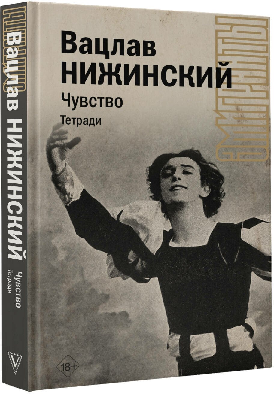 Чувство. Тетради (Нижинский Вацлав Фомич) - фото №2