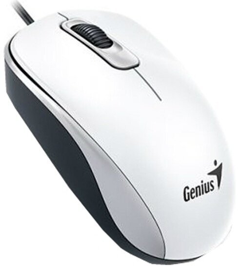 Мышь Genius DX-110 White (31010009401)