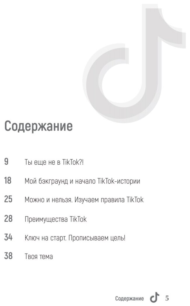 TikTok Superstar. Как набрать миллион подписчиков - фото №3