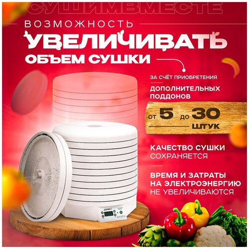 Сушилка для овощей и фруктов дегидратор Ezidri Ultra FD 1000 Digital 2639500₽