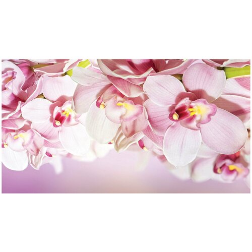 Фотообои флизелин эко Розовые орхидеи 500х270 10125₽