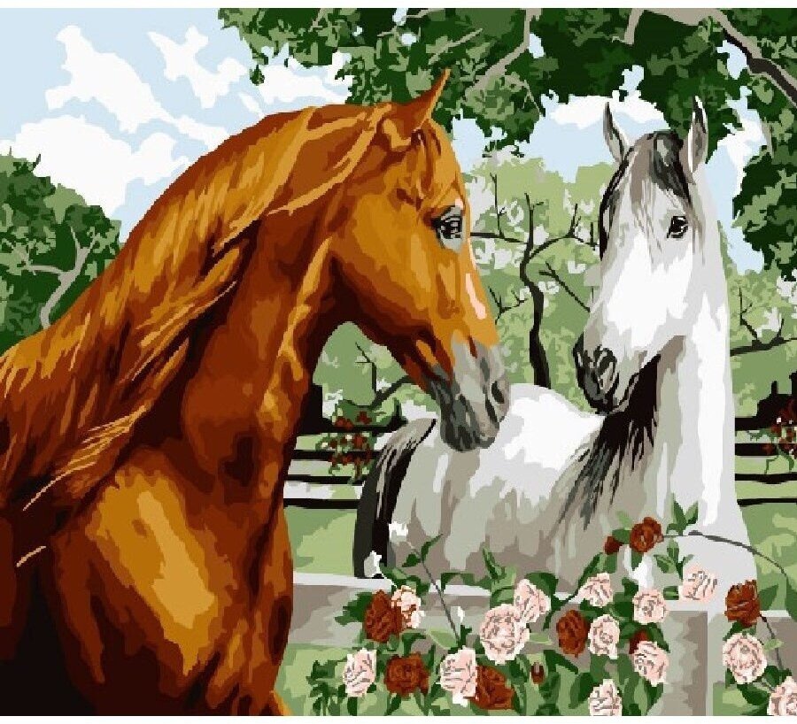 Картина по номерам Пара лошадей 40х50 см Hobby Home