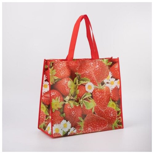 фото Сумка-тележка ооо пк кит, красный