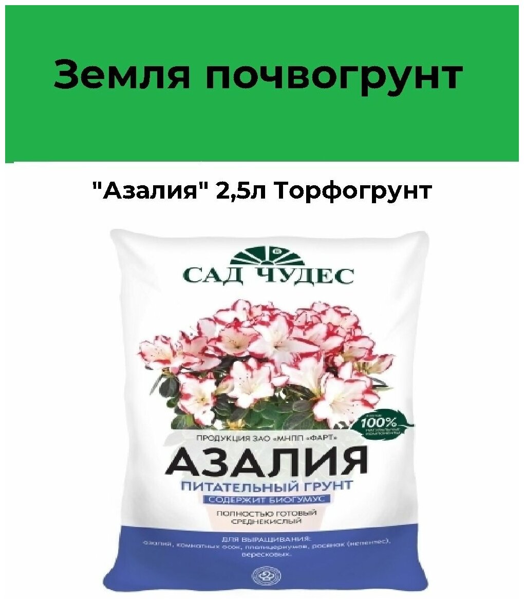 Почвогрунт "Азалия" 2,5 л. Готовая рыхлая почва для выращивания цветов, росянок, платицериумов, осок, а также рододендронов и вересковых культур - фотография № 5